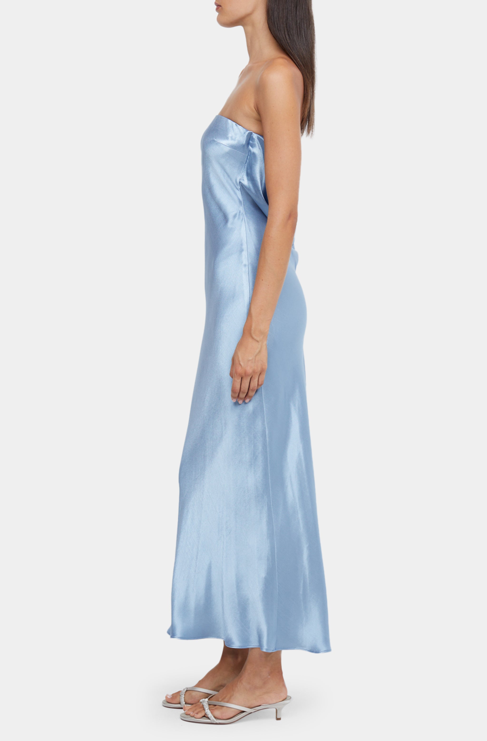 Moondance Strapless Dress