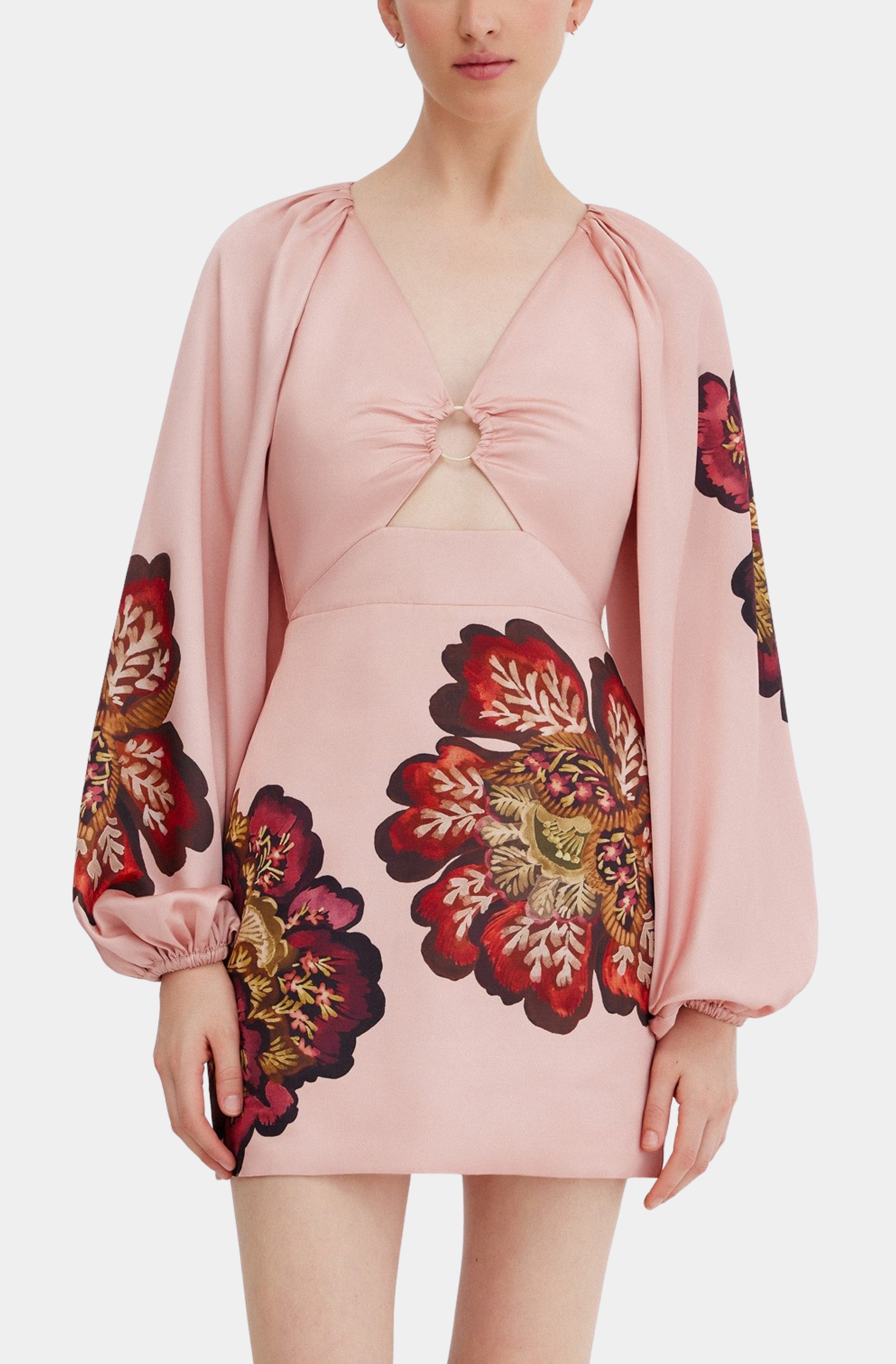 Roise Mini Dress